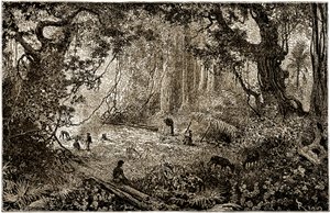 Installatie van een ontdekkingsreizigerskamp in Guatemala (1882) door Edouard Riou