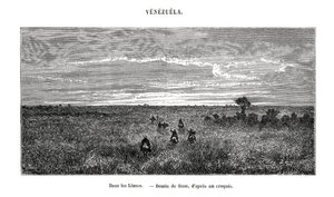 Los Llanos, Venezuela, 19e eeuw