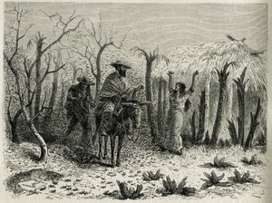 De wolken van sprinkhanen van de Vallei van de Boven Patia, met op zijn muilezel de verteller van de reis, gravure door Riou, ter illustratie van het verhaal L