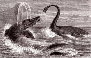 De Ichthyosaurus en de Plesiosaurus
