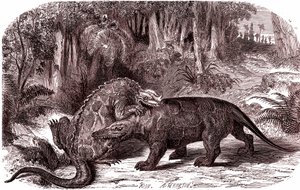 De Iguanodon en de Megalosaurus (gravure door Edouard Riou