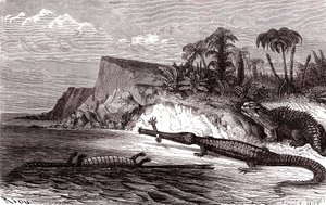 De Teleosaurus en de Hyleosaurus