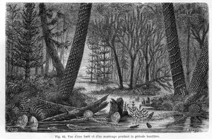 Uitzicht op een bos en een moeras uit het steenkooltijdperk door Edouard Riou