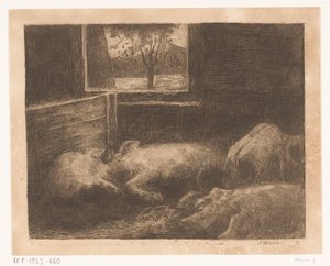 Varkens in een stal door Eduard Karsen (signed by artist)