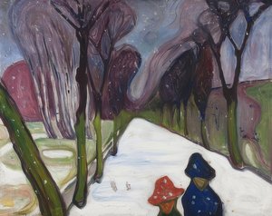 Laan in sneeuwstorm
