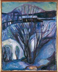 Noorwegen, Oslo, Winterlandschap, Ekely