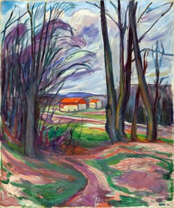 Landschap in Skoyen (Oslo, Noorwegen)