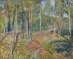 Pijnboombos, 1891-1892