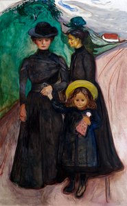 De Familie (De Boek Familie)