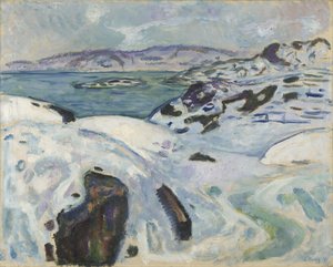 Winter op de fjord