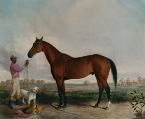 Enquirer, Bay Horse door Edward (after) Troye