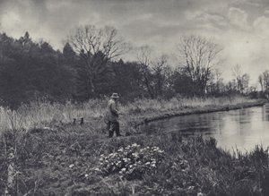 De eerste Kingcups van de lente door Edward Alfred Barton