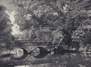 Wilton Brug