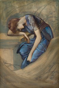 Studie voor de Briar Rose Serie, De Tuin Hof door Edward Coley Burne Jones