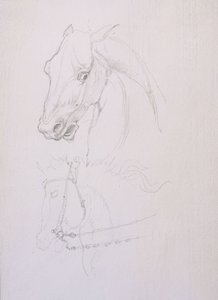 Studie van een paardenhoofd door Edward Coley Burne Jones