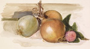 Stilleven - Studie van uien, 1871-75