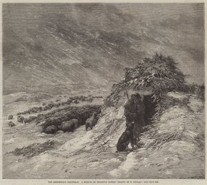 De kerst van de herder, een schets op Brighton Downs