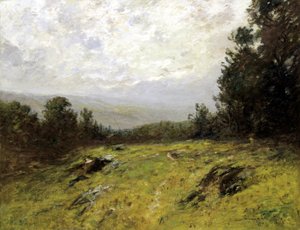 Heuvel
