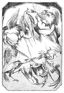 De Ezelkool, 1901