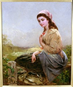 De oogster