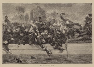 De sortie van een haas