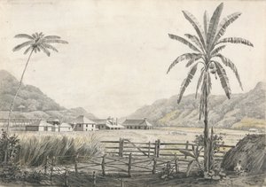 Een Uitzicht op Hall-head Suikerplantage, Jamaica door Edward Kennion