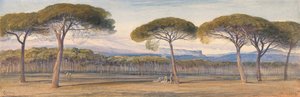 Uitzicht op de dennenbossen boven Cannes door Edward Lear