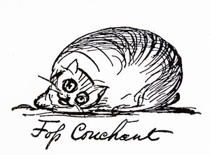 Een kattenkarakter