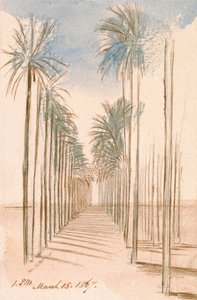 Bomenlaan door Edward Lear