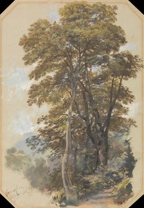 Steengroevekorps, 28 juni 1838 door Edward Lear