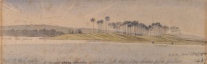 Dhoura-eiland door Edward Lear