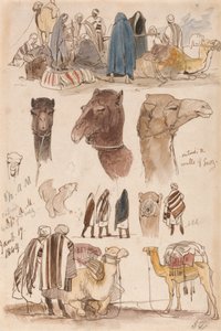 Buiten de muren van Suez, 8:30 uur, 17 januari 1849 (54) door Edward Lear