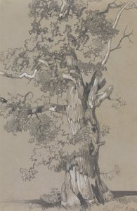 Parham, 13 oktober 1834