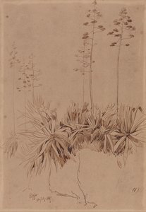 Reggio door Edward Lear