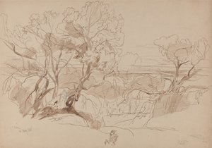  door Edward Lear
