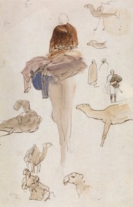 Studies van kamelen