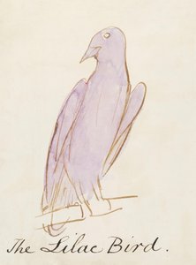 De Lila Vogel, uit Zestien Tekeningen van Komische Vogels