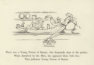 Er was een jong persoon uit Bantry, die vaak in de voorraadkast sliep door Edward Lear