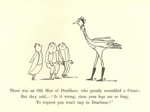 Er was een Oude Man uit Dunblane, die sterk leek op een Kraanvogel door Edward Lear