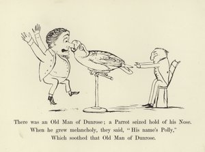 Er was een oude man van Dunrose; een papegaai greep zijn neus door Edward Lear