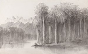 Wady Feiran, schiereiland van de Sinaïberg door Edward Lear