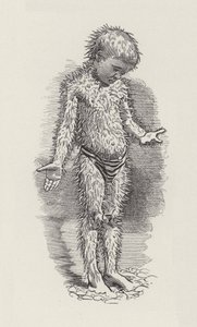 Illustratie voor The Water-Babies door Charles Kingsley