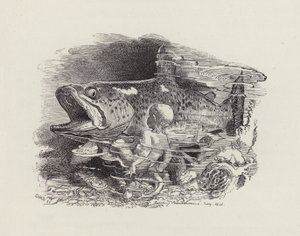 Illustratie voor The Water-Babies door Charles Kingsley door Edward Linley (after) Sambourne
