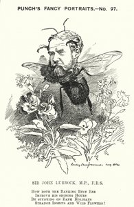 Punch cartoon: John Lubbock door Edward Linley (after) Sambourne