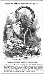 Charles Darwin, Engelse natuuronderzoeker door Edward Linley Sambourne