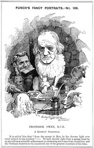 Richard Owen, Engelse zoöloog