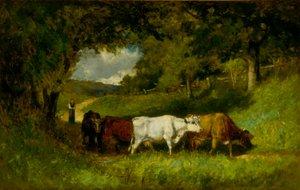 De koeien thuisbrengen