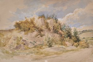 Landschap door Edward Pretty