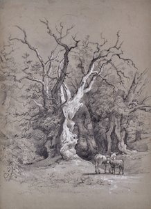 Landschap met boom door Edward Pretty