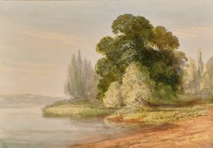 Landschap met bomen door Edward Pretty